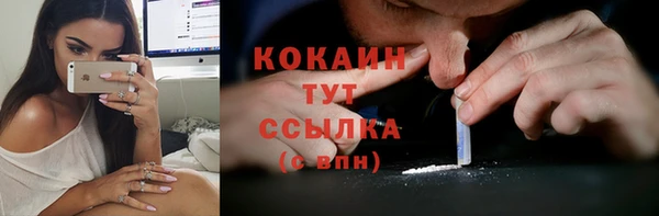 spice Аркадак