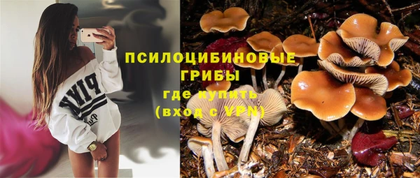 круглые Армянск