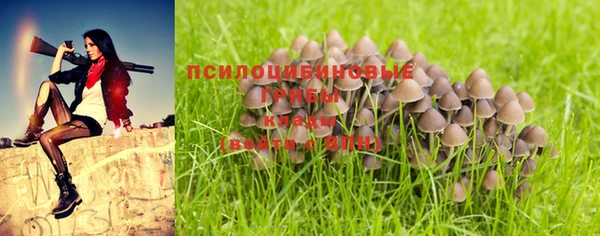 ALPHA PVP Арсеньев