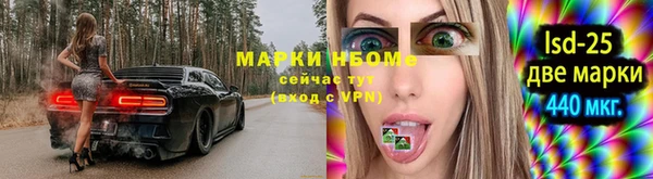 spice Аркадак