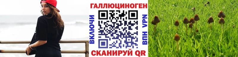 Галлюциногенные грибы мицелий  Пушкино 
